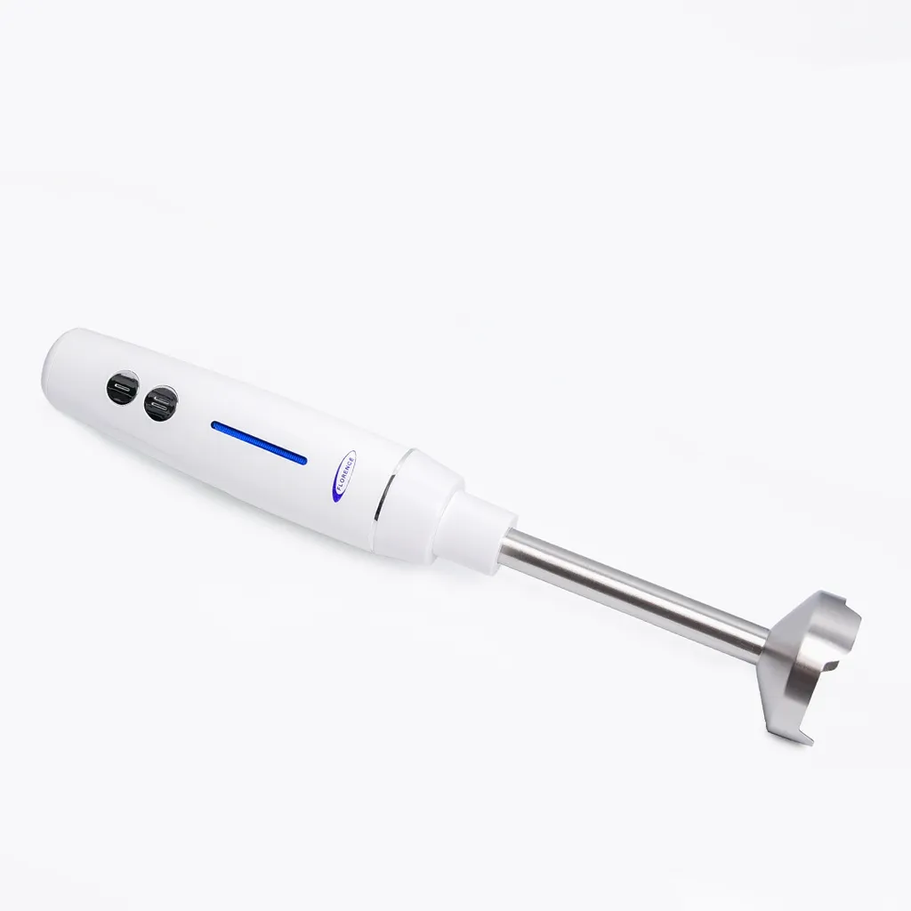 Mixeur Plongeant Florence HK404 - 250 Watts - Blanc