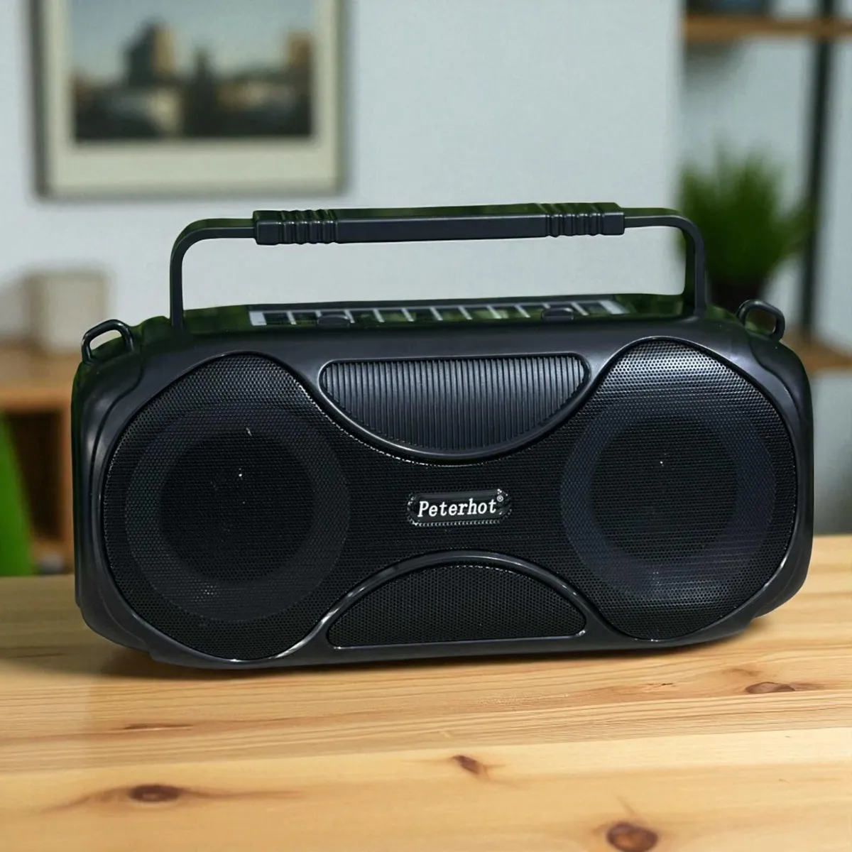 Haut-parleur Bluetooth & Radio FM – PETERHOT PTHX13
